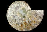 Agatized Ammonite Fossil (Half) - Madagascar #115332-1